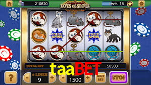 Daily Bonuses taabet